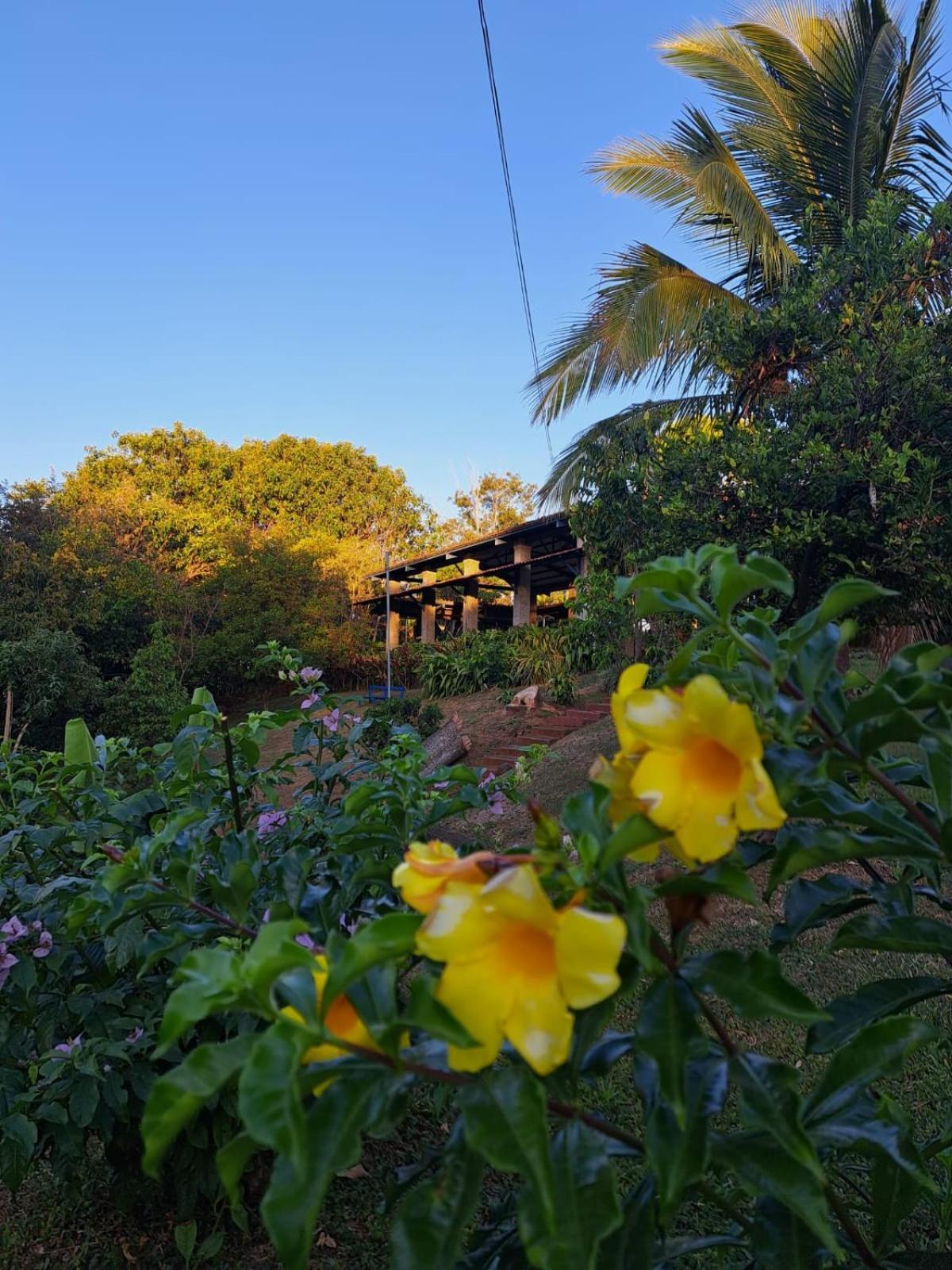 Serenity By Nature Carrillos 外观 照片